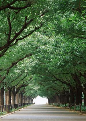 「人探しの費用相場と依頼方法を徹底解説!信頼できる探偵社の選び方ガイド」